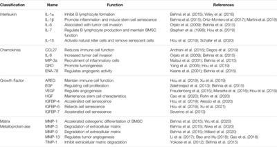 The Role of Senescence-Associated Secretory Phenotype in Bone Loss